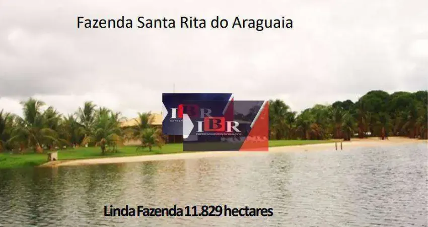 Fazenda à venda no Centro, Santa Rita do Araguaia 