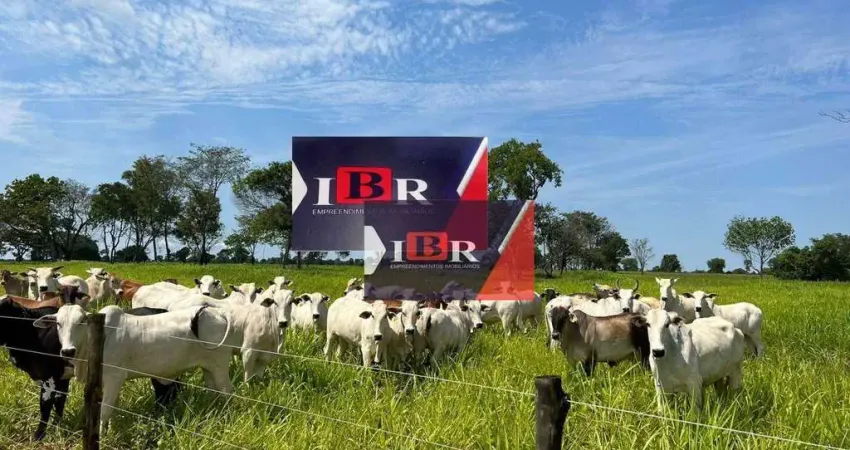 Fazenda à venda na Zona Rural, Rochedo 