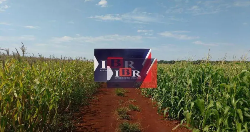 Fazenda à venda na Avenida Marcelino Pires, Zona Rural, Dourados