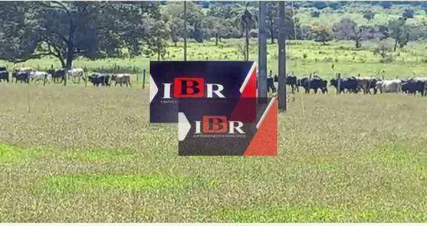 Fazenda à venda na Zona Rural, Paraíso das Águas 