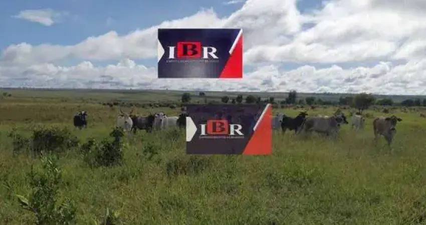 Fazenda à venda na Rua Carurú, Zona Rural, Campo Grande