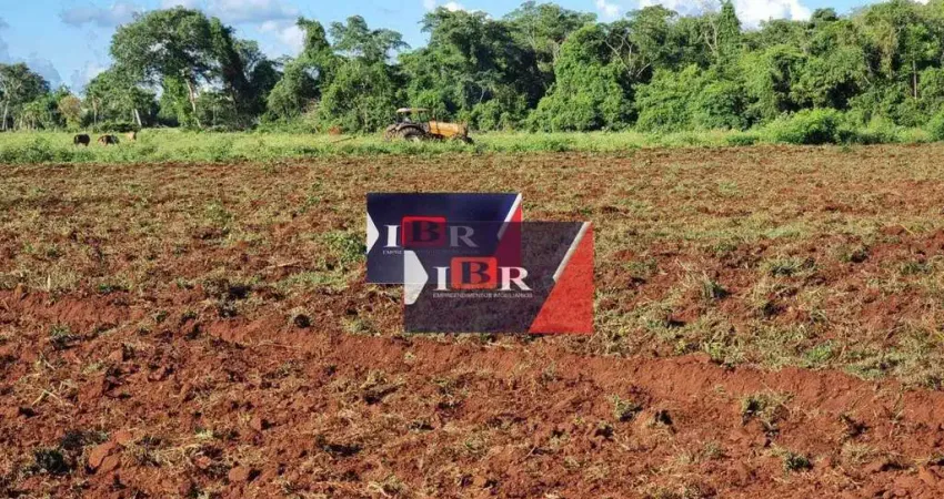 Fazenda à venda na Rua Albino Pedro, Zona Rural, Campo Grande