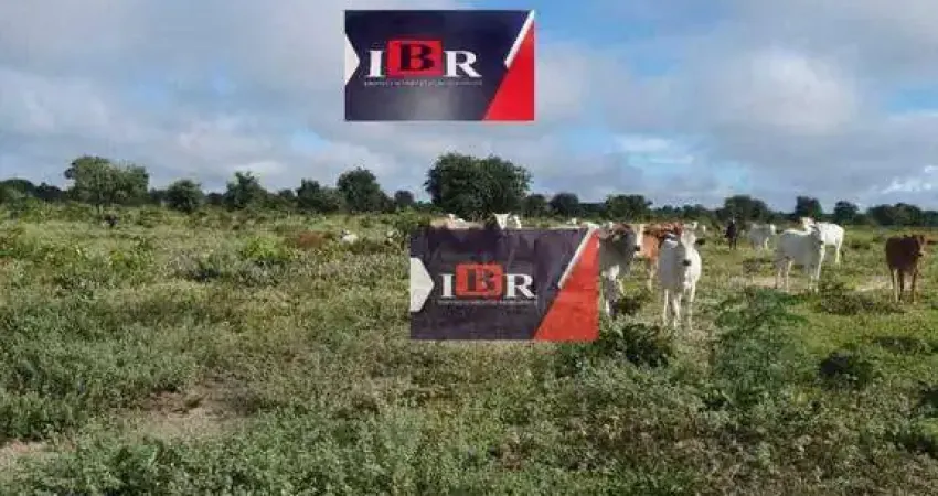 Fazenda à venda na Travessa Cristo Rei, Zona Rural, Campo Grande