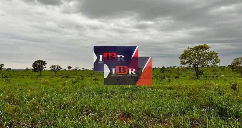 Fazenda em Sonora - MS