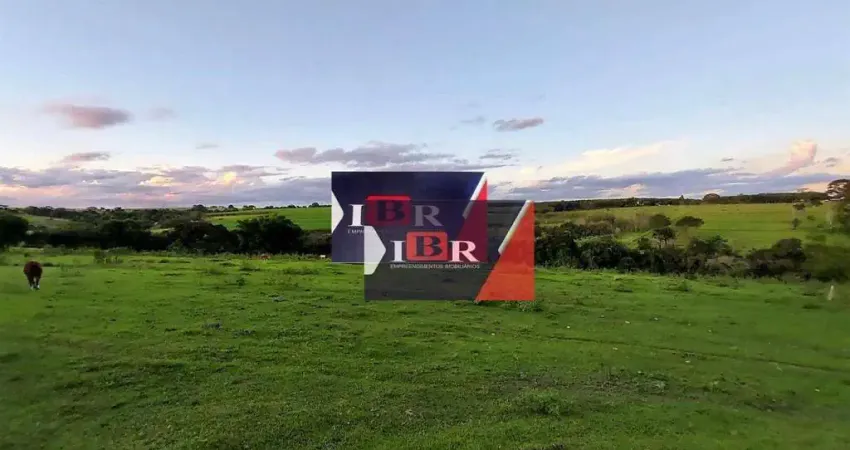 Chácara / sítio à venda na Zona Rural, Bady Bassitt 
