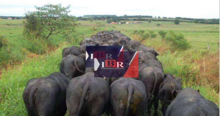 Fazenda à venda no Reianópolis, Sengés 