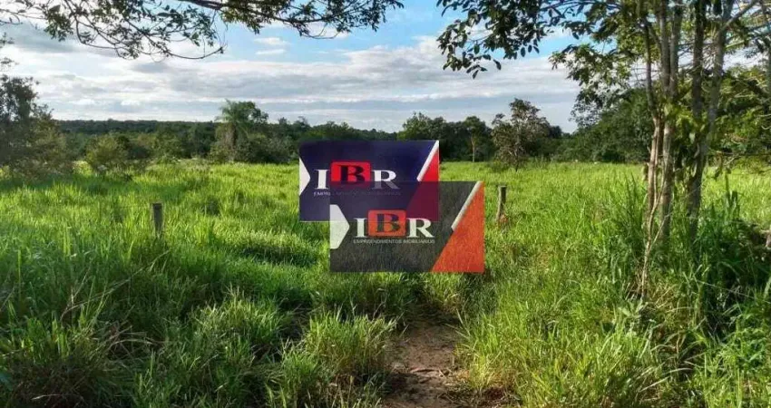 Fazenda em Corguinho - MS
