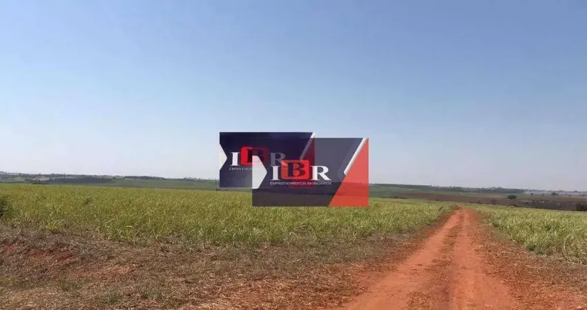 Fazenda em Nipoã - SP