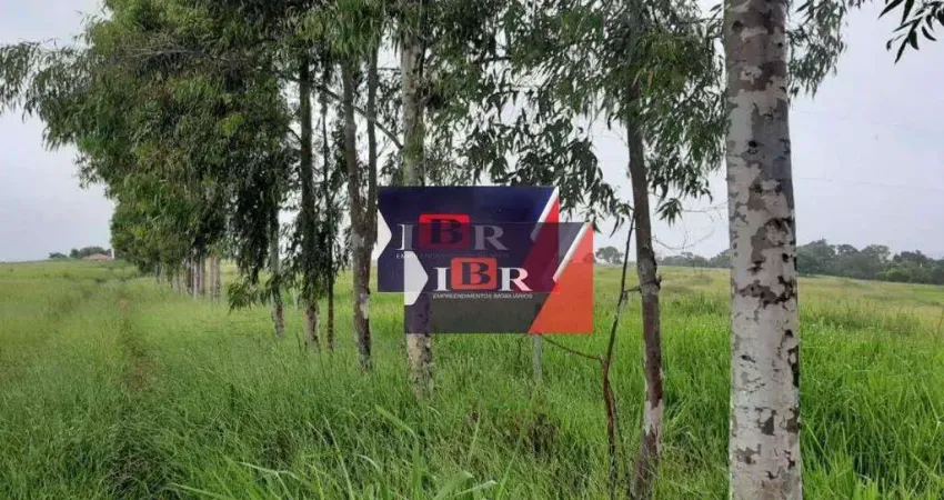 Chácara / sítio à venda na Zona Rural, Campina Verde 