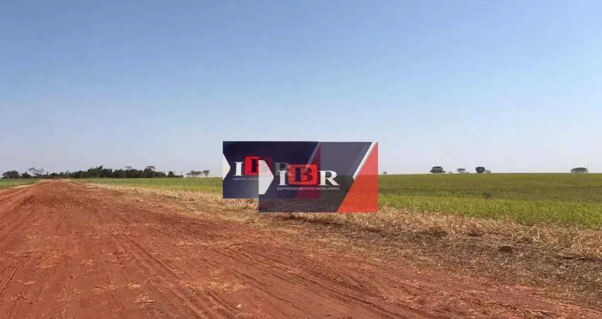 Fazenda em Nipoã - SP