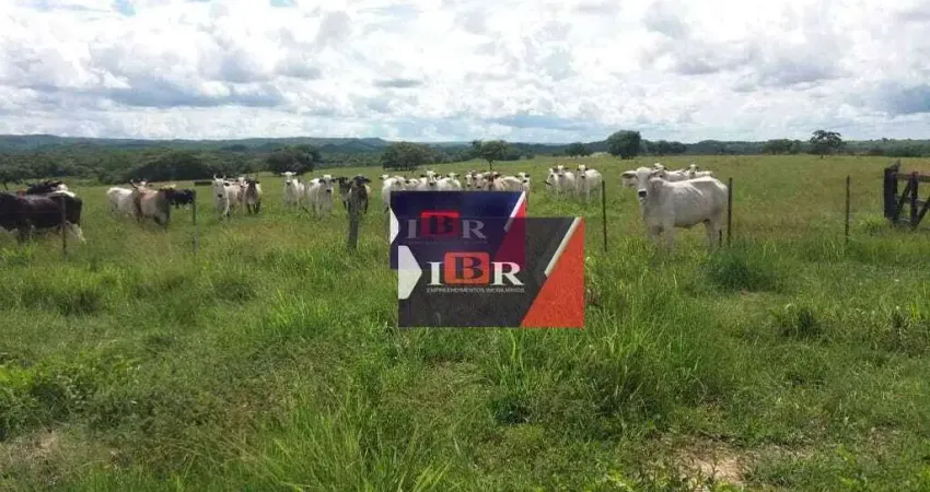 Fazenda à venda na Zona Rural, Nova Brasilândia 