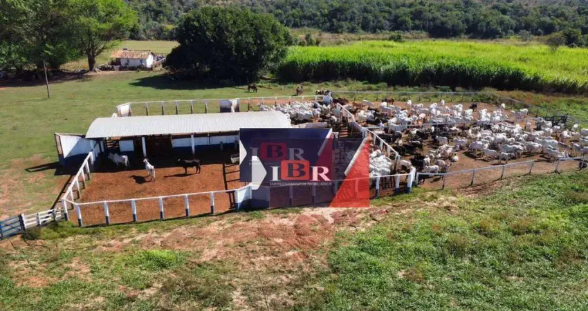Fazenda em Aparecida do Taboado - MS