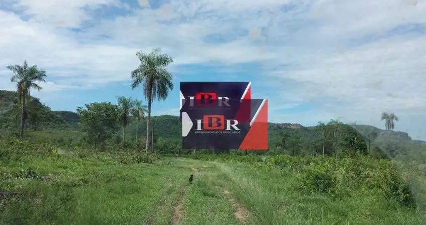 Fazenda em São Gabriel Do Oeste - MS