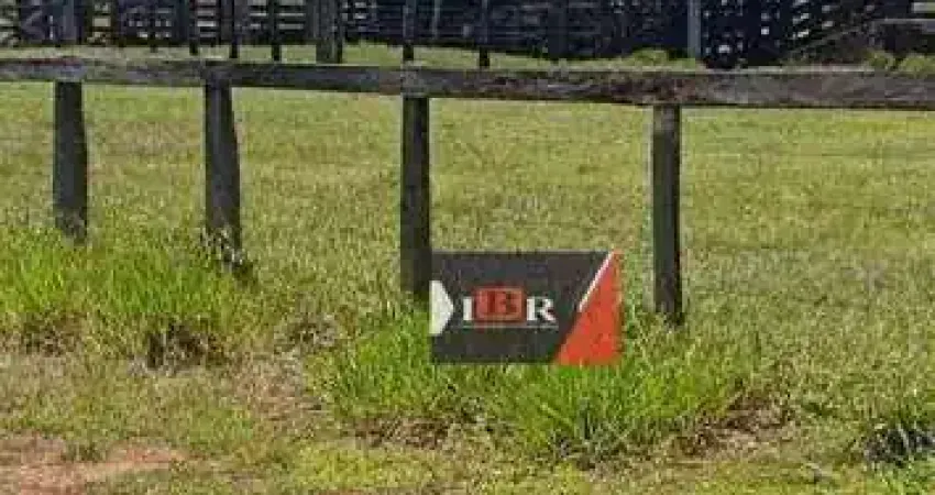 Fazenda em Camapuã - MS