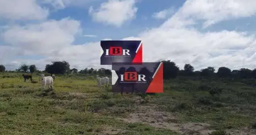Fazenda à venda na Travessa Cristo Rei, Zona Rural, Campo Grande