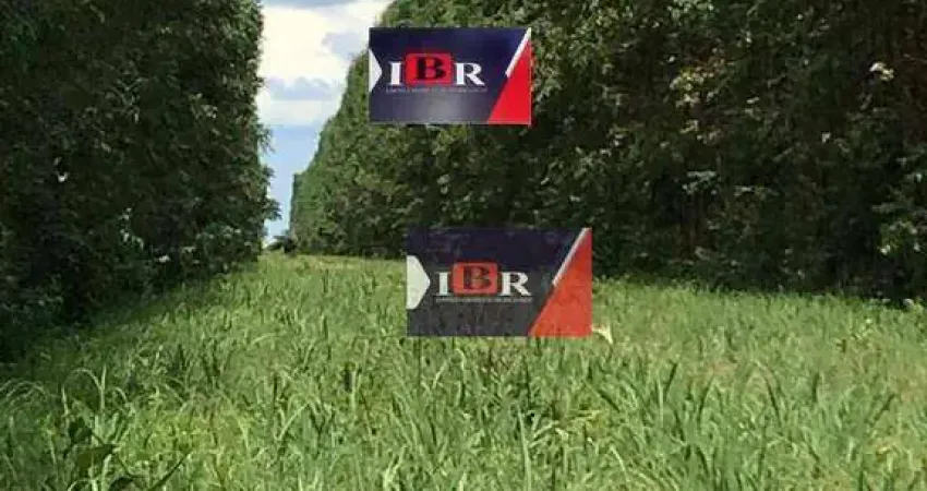 Fazenda à venda na Praça Doutor Carlos Versiani, Zona Rural, Montes Claros
