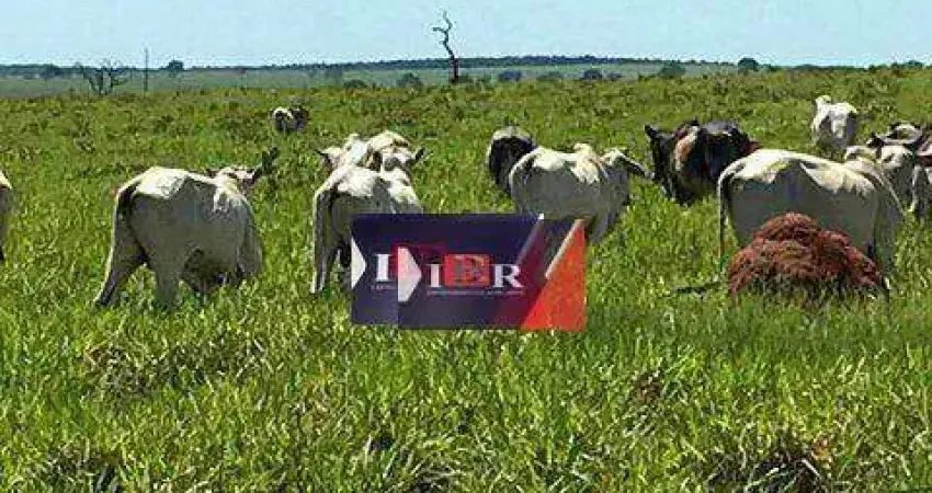 Fazenda à venda na Zona Rural, Água Clara 