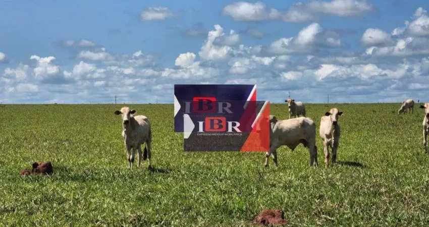 Fazenda em Dois Irmãos do Buriti