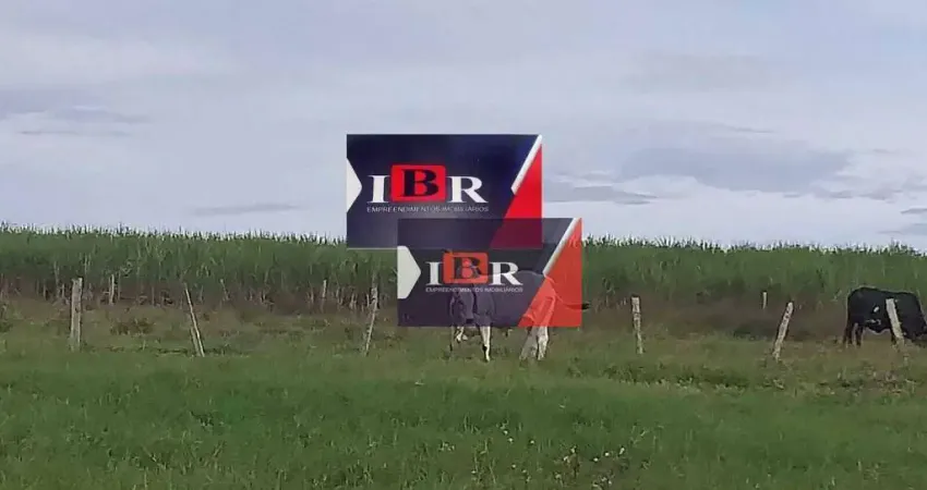 Fazenda à venda na Área Rural, Área Rural de Mineiros, Mineiros