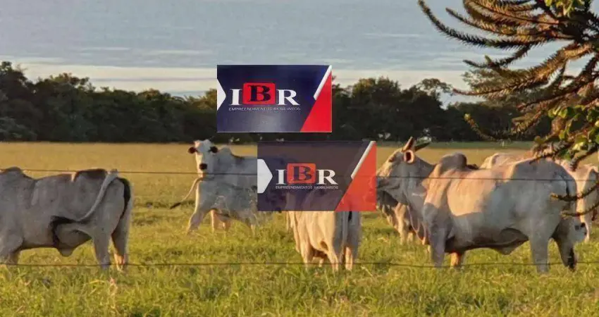 Fazenda à venda na Área Rural, Área Rural de Presidente Prudente, Presidente Prudente