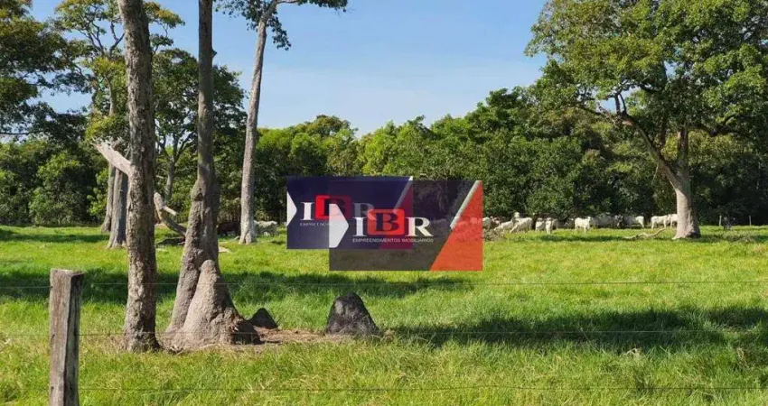 Fazenda à venda na Zona Rural, Santo Antônio do Leverger 