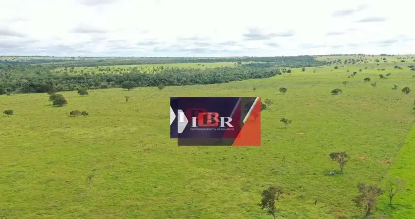 Fazenda à venda na Zona Rural, Paranaíba 
