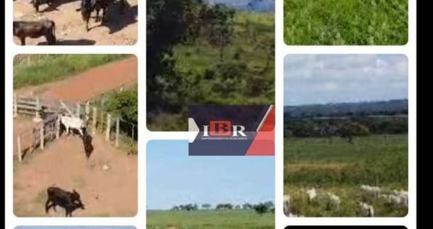 Fazenda em Rio Negro - MS