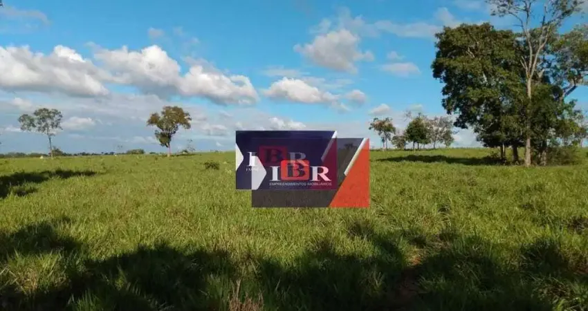 Fazenda em Corguinho - MS
