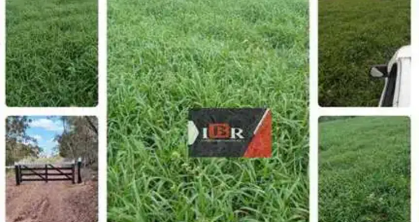 Fazenda à venda na Zona Rural, Figueirão 