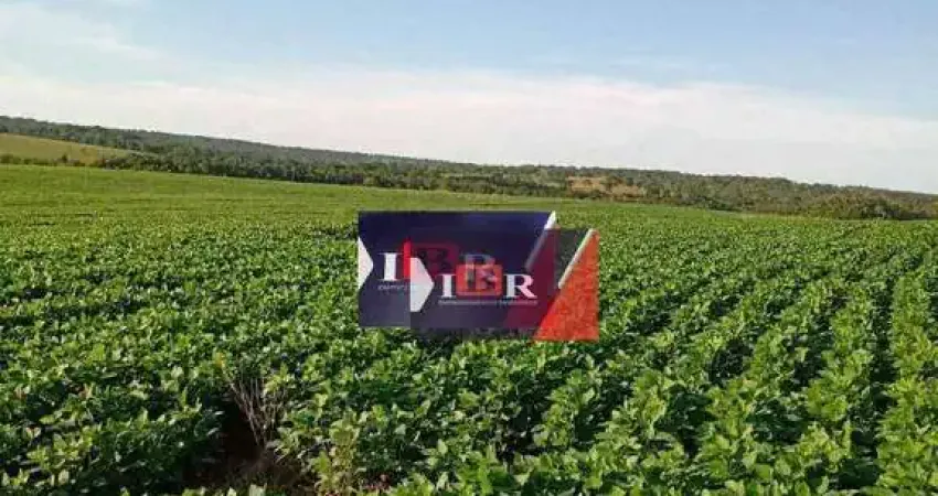 Fazenda à venda na Zona Rural, Terenos 