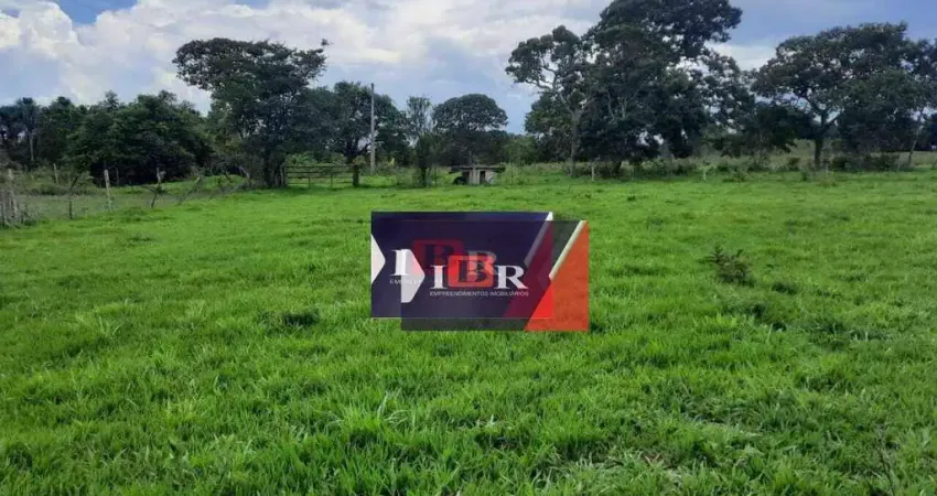 Fazenda em Alcinópolis - MS