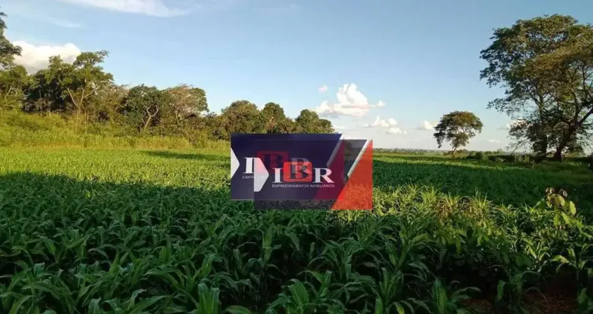 Chácara / sítio à venda na Zona Rural, Terenos 