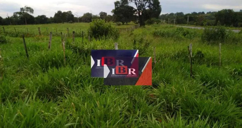Fazenda em Inocência - Ms