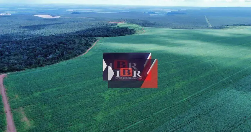 Fazenda à venda na Zona Rural, Diamantino 