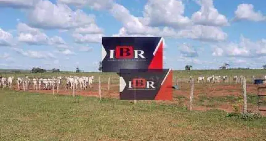 Fazenda em Inocência - MS