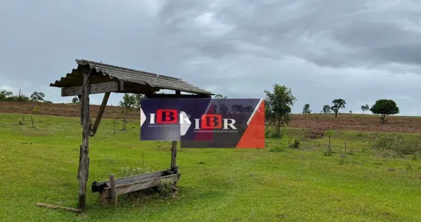 Fazenda em Inocência - MS
