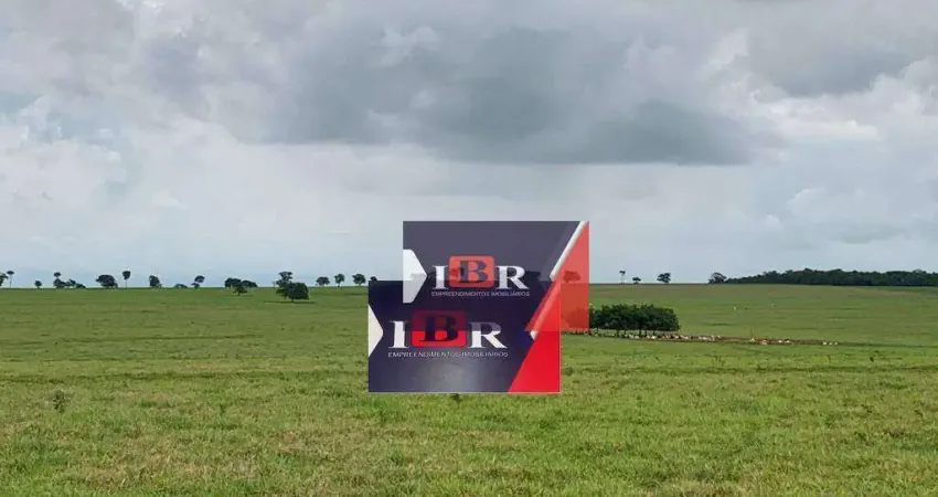 Fazenda à venda na Área Rural de Marília, Marília 