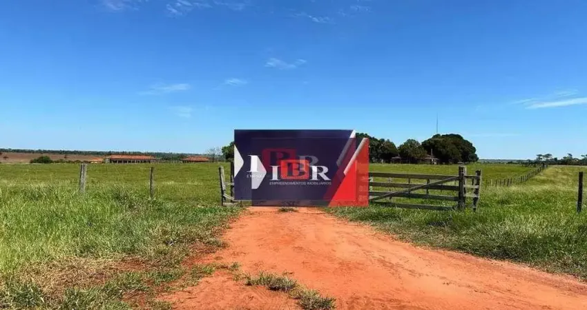 Fazenda à venda na Zona Rural, Anaurilândia 