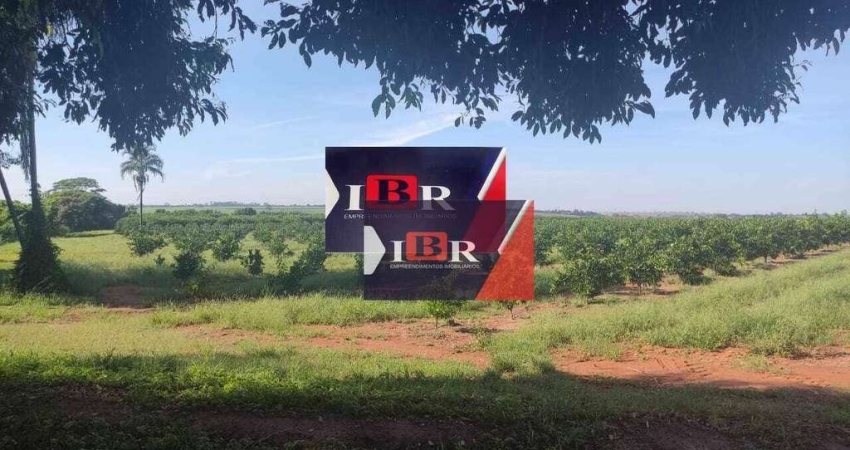 Chácara / sítio à venda na Zona Rural, Guaraci 