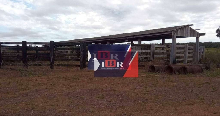 Fazenda à venda na Zona Rural, Nova Ubiratã 
