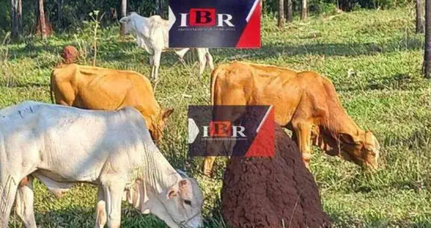Fazenda à venda na Zona Rural, Inocência 