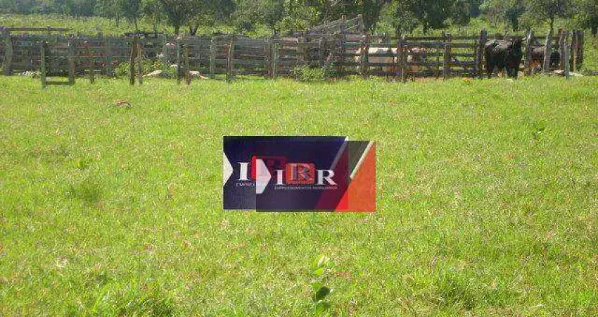 Fazenda à venda na Zona Rural, Terenos 
