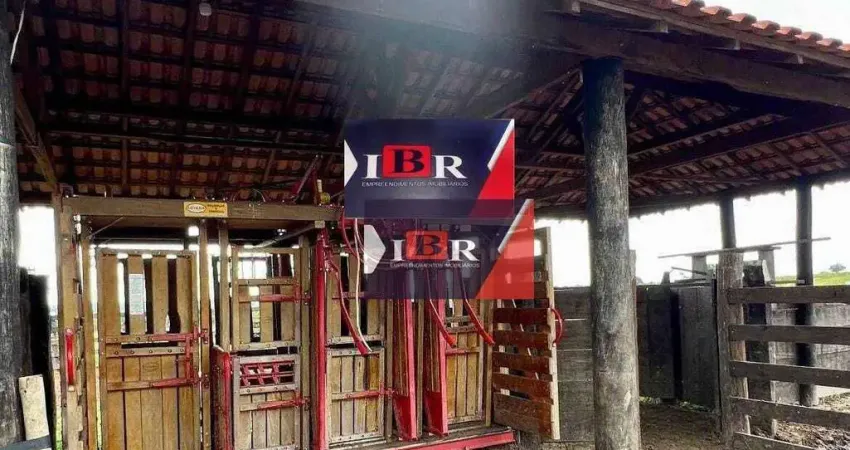 Fazenda em São Gabriel do Oeste - MS