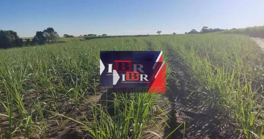 Fazenda à venda na Rua Professor Armando Rizzo, Área Rural de Sorocaba, Sorocaba