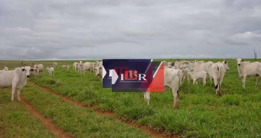 Fazenda em Amambaí - MS