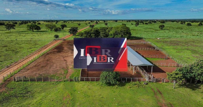 Fazenda à venda na Zona Rural, São Félix do Araguaia 