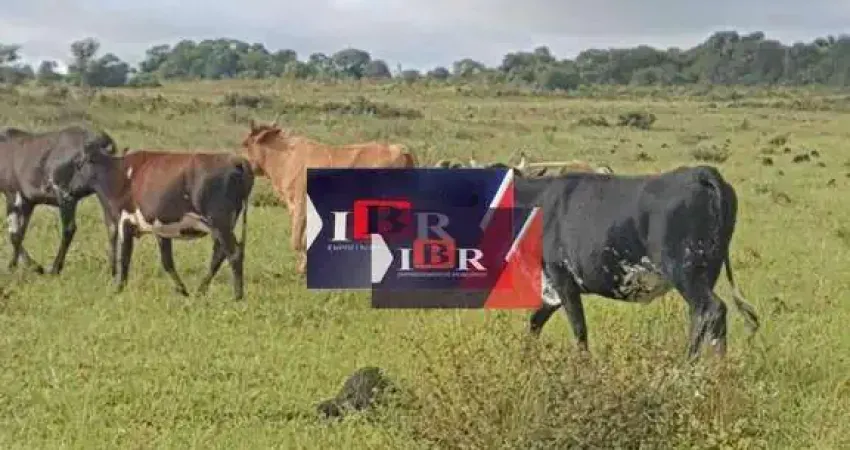 Fazenda à venda na Zona Rural, Campo Grande 