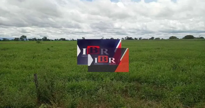 Fazenda em Inocência - MS