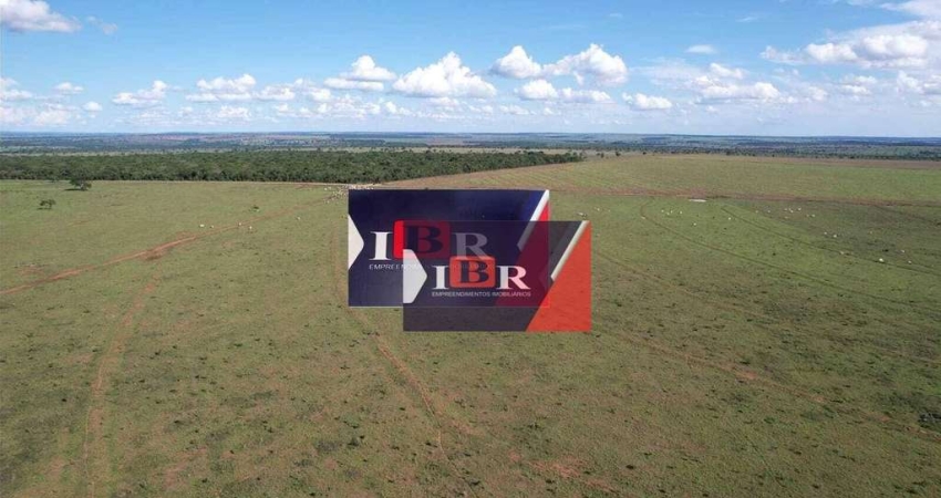 Fazenda em Chapadão do Sul  - MS