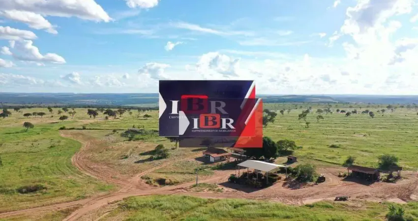 Fazenda à venda na Zona Rural, Tesouro 